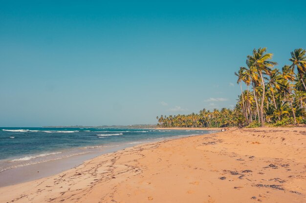 Photo vue des caraïbes