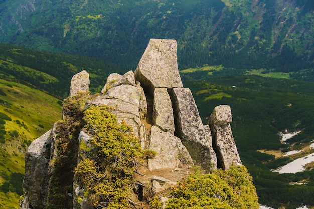 Photo vue sur les carpates ukrainiennes. photo de la nature et des montagnes d'été