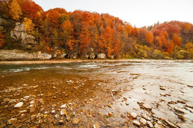 Vue de la cascade en automne Cascade aux couleurs de l'automne Rivière de montagne dans le paysage d'automne Ukraine river Stryj