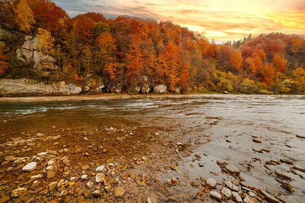 Vue de la cascade en automne Cascade aux couleurs de l'automne Rivière de montagne dans le paysage d'automne Ukraine river Stryj