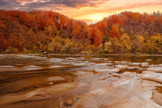 Photo vue de la cascade en automne cascade aux couleurs de l'automne rivière de montagne dans le paysage d'automne ukraine river stryj