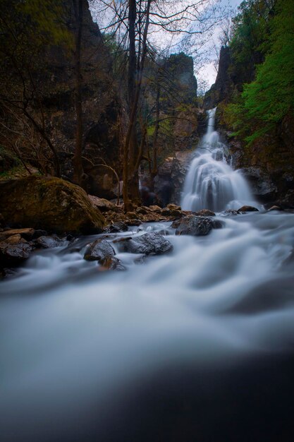 Vue de la cascade dans la forêt Cascade Erikli Yalova