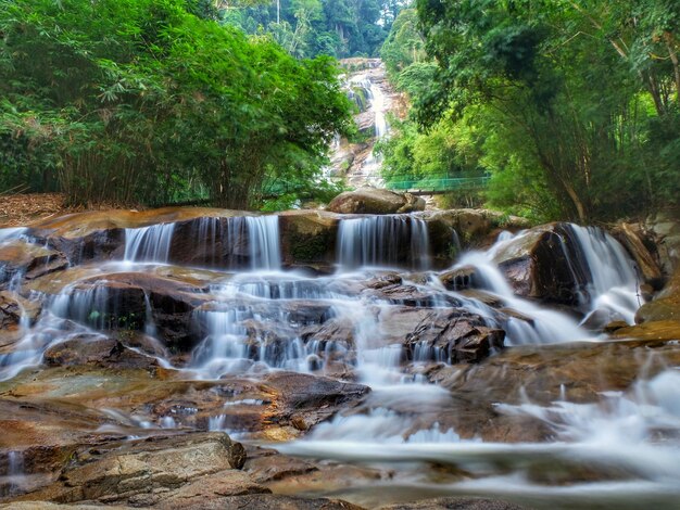 Photo vue d'une cascade dans la forêt