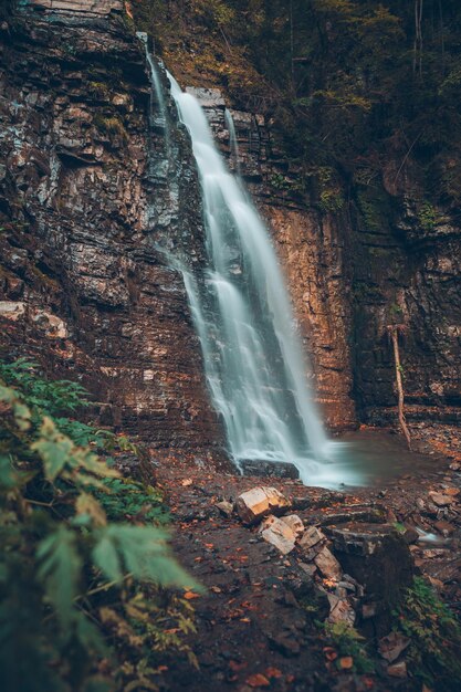 Vue sur cascade en forêt