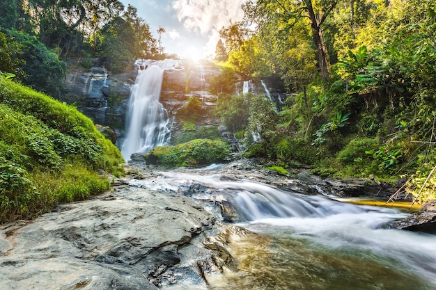 Vue de la cascade le long des arbres