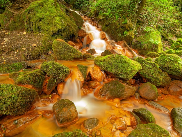 Photo vue d'une cascade minérale dans des ruisseaux forestiers tombant sur une pierre à surface ferrique