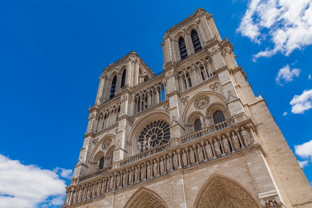 Photo vue à la cathédrale notre-dame de paris