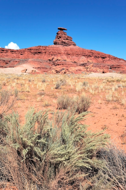 Vue sur le célèbre chapeau mexicain, USA