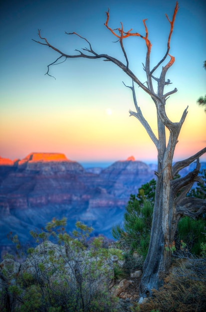 Vue célèbre du Grand Canyon Arizona