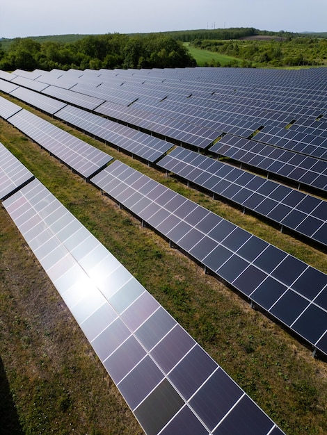 Vue d'une centrale solaire à côté d'une forêt pendant l'été