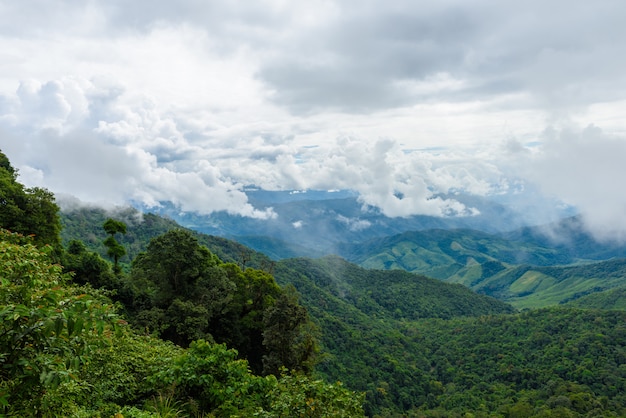 Vue de la chaîne de montagnes et de la brume matinale