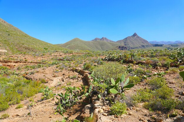 Photo vue de la chaîne de montagnes du macizo de adeje à tenerife, dans les îles canaries, en espagne