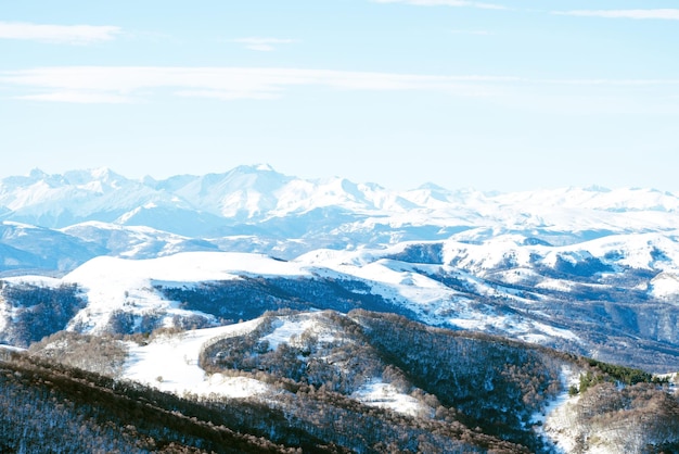 Vue sur la chaîne de montagnes enneigées des montagnes du Caucase et la pinède depuis le col