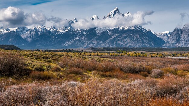 Vue sur la chaîne de montagnes Grand Teton