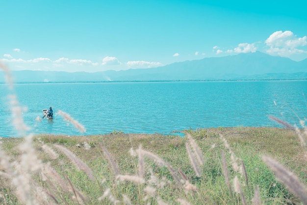 Photo vue sur la chaîne de montagnes et le lac phayao avec fleur d'herbe dans la partie nord de la thaïlande