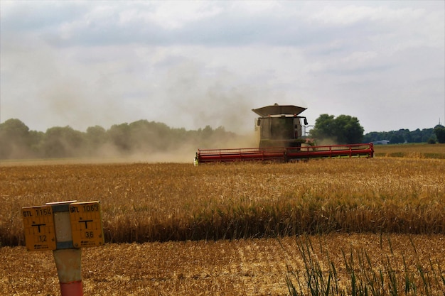 Vue d'un champ agricole contre le ciel
