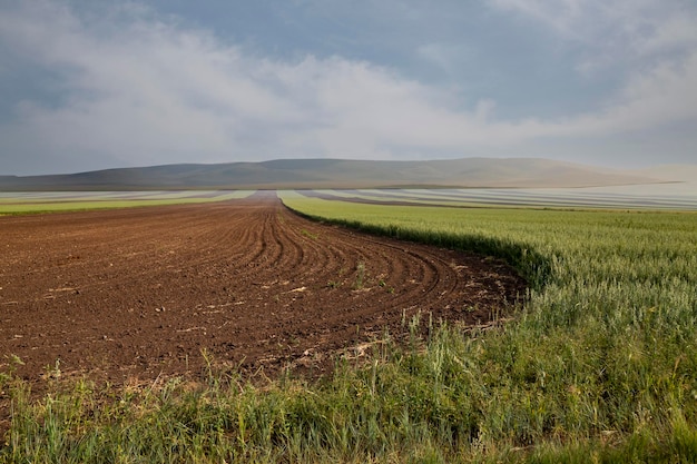 Vue d'un champ labouré préparé pour la plantation de cultures Terre labourée avec des rangées de sillons