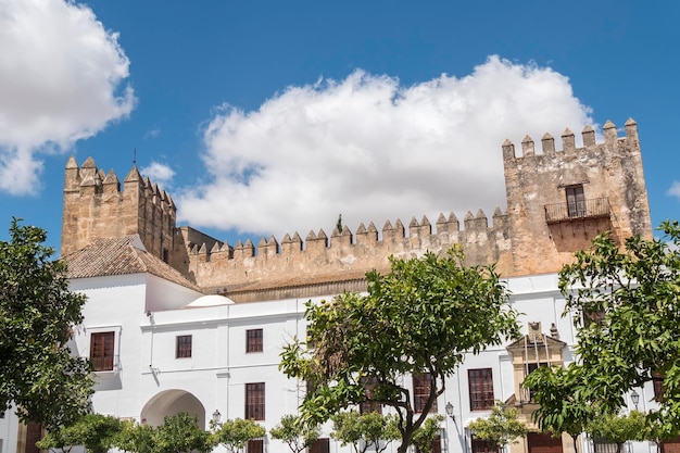 Vue sur le château d'Arcos de la Frontera Espagne