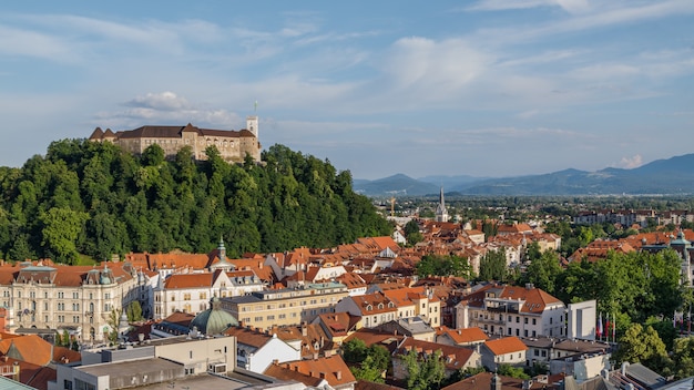 vue sur le château sur une colline et la ville un jour d'été en Slovénie