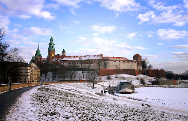 Vue sur le château de Wawel Cracovie