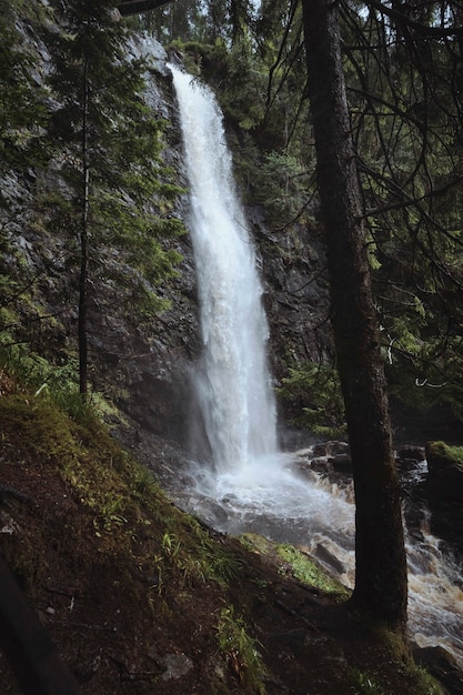 Vue des chutes de Plodda, Ecosse