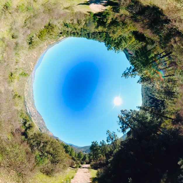 Photo une vue circulaire d'une forêt avec un ciel bleu et des arbres en arrière-plan.