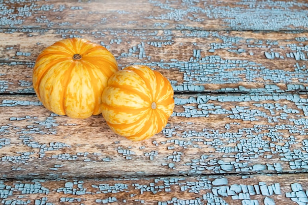 Vue de citrouilles orange