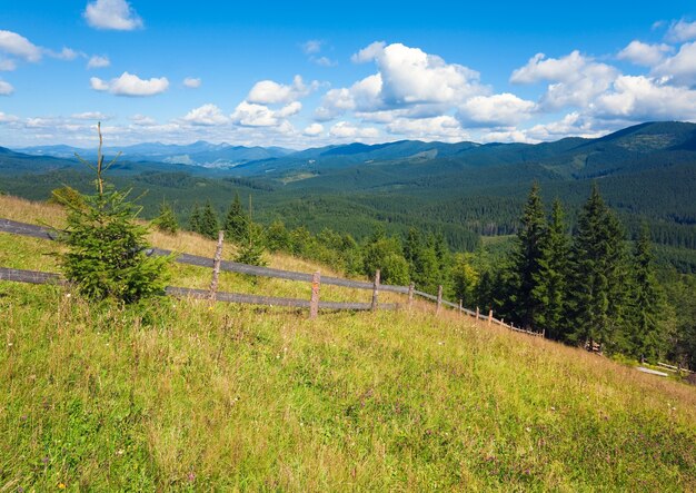 Vue sur la clairière de la montagne d'été (Carpates, Ukraine)