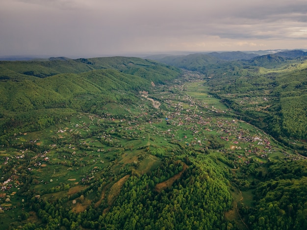 Une vue sur une colline verdoyante