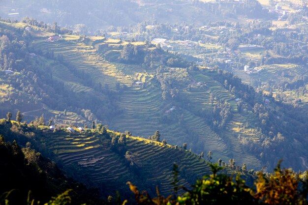 Une vue sur les collines au petit matin.