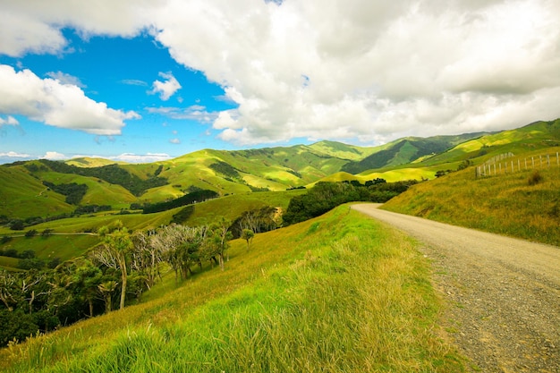 Vue sur les collines en Nouvelle-Zélande