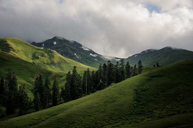 Vue sur les collines verdoyantes sous les nuages avec des arbres à feuilles persistantes au milieu