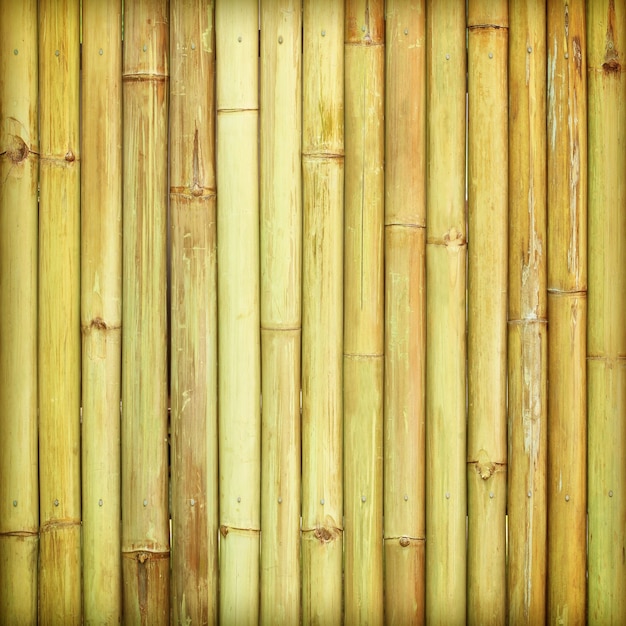 Vue complète de la clôture en bois et de la clou en bambou