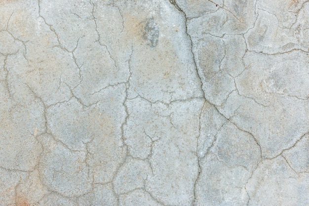 Vue complète du mur fissuré.
