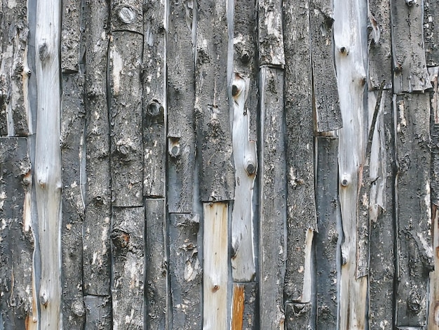 Photo vue complète du vieux bois altéré