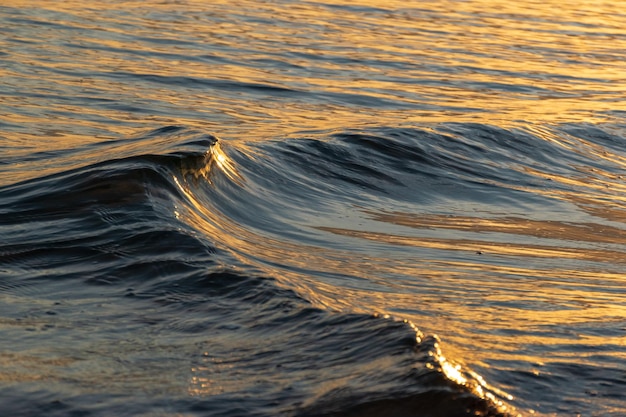 Photo vue complète de l'eau ondulée