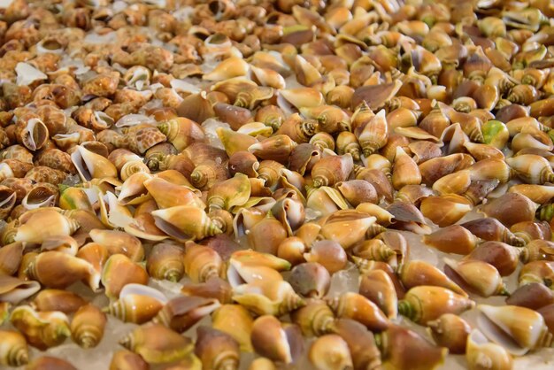 Vue complète des œufs sur le marché