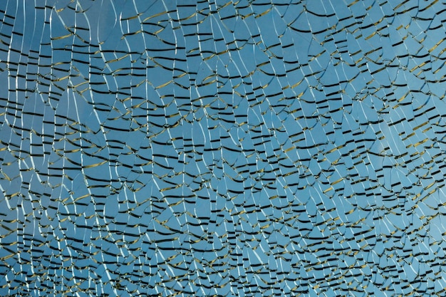 Photo vue complète des poissons nageant dans le verre