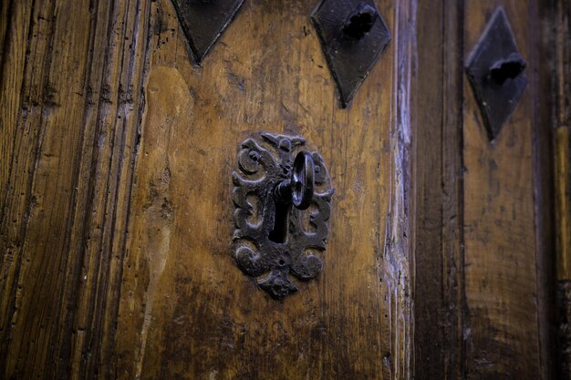 Vue complète de la porte.