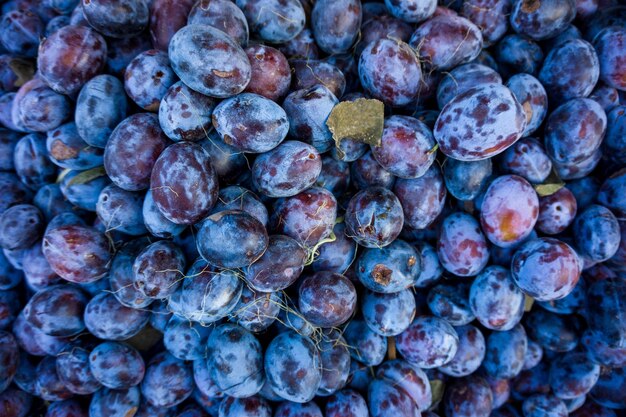 Photo vue complète des raisins