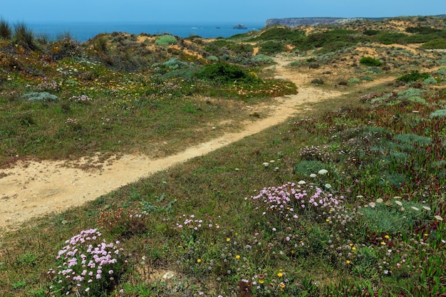 Photo vue sur la côte atlantique en fleurs d'été, aljezur, algarve à l'ouest, costa vicentina, portugal.