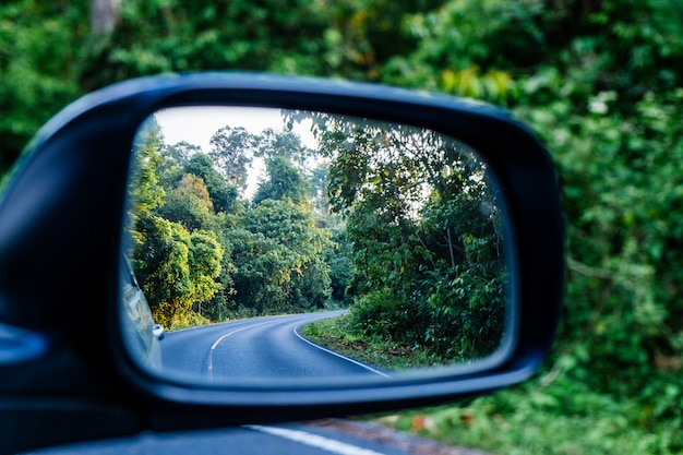 Vue de côté reflet du chemin de courbe dans la forêt.