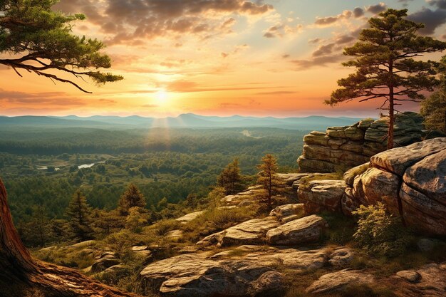 Photo une vue à couper le souffle depuis le bord de la forêt