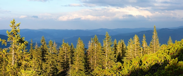 Vue sur la crête de la montagne Gorgany d'été depuis le sommet du mont Homiak Ukraine des Carpates