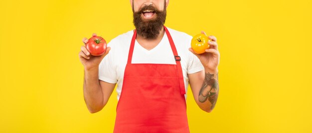 Vue de la culture de l'homme heureux en tablier de cuisine tenant des tomates rouges et jaunes fond jaune cuisinier