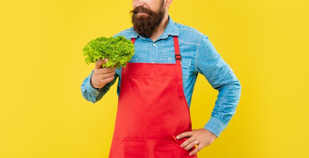 Vue de la culture de l'homme heureux en tablier rouge tenant des légumes frais de fond jaune de laitue frisée