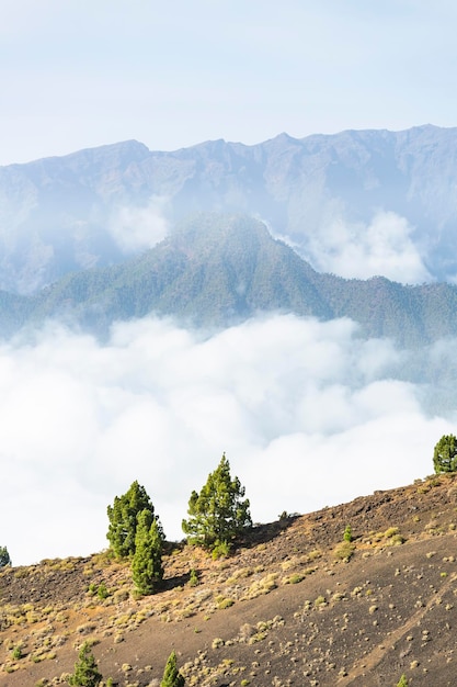 Vue Cumbre Vieja La Palma Espagne