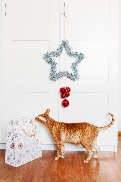 Photo vue de la décoration de noël sur le sol