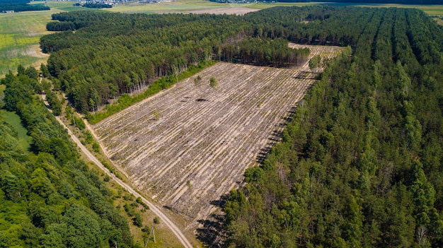 Vue de la déforestation illégale depuis le drone