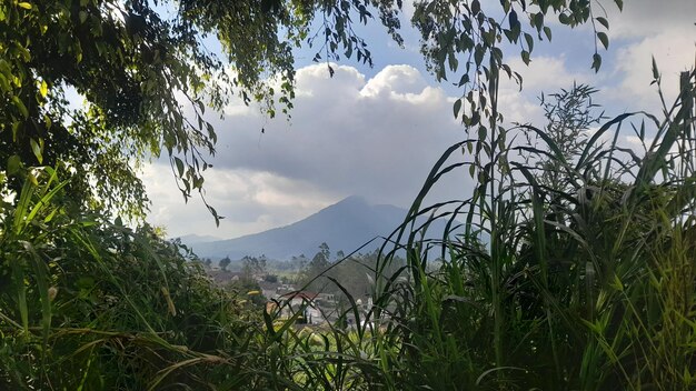 une vue depuis le balcon de la maison dans laquelle nous avons séjourné